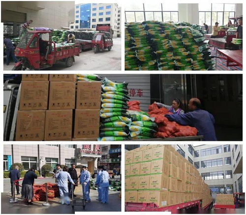 慶元9天高效派送253噸農產品，東西部消費扶貧任務圓滿完成