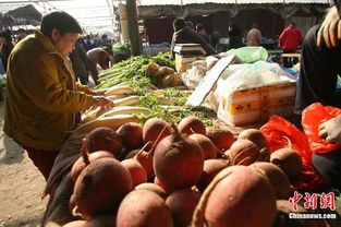 食用農產品價格微幅上揚，雞蛋漲幅達2.2%引關注