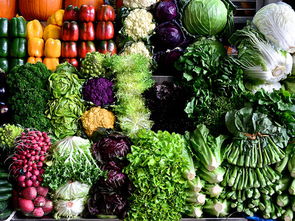 東莞莫卡 打通農產品銷售最后一公里